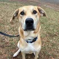 Thumbnail photo of Rory #1