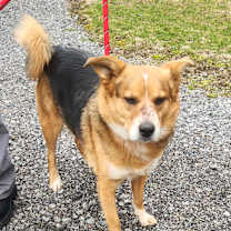 Thumbnail photo of Porter #4