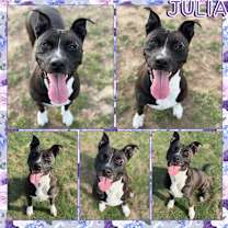 Thumbnail photo of Julia #1