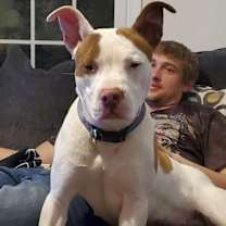 Thumbnail photo of Trixie (Courtesy Post) #2