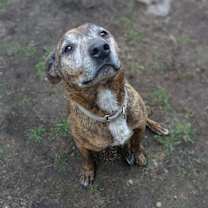 Thumbnail photo of Tiff #4