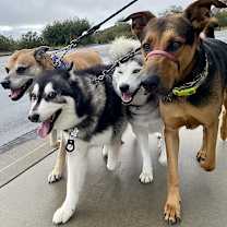 Thumbnail photo of Tucker #4