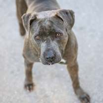 Thumbnail photo of Biggie Smalls #2