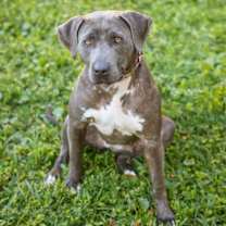 Thumbnail photo of Biggie Smalls #3