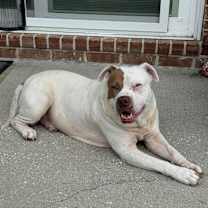 Thumbnail photo of Whiteboy #4