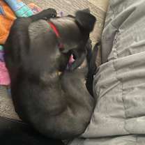 Thumbnail photo of Jilligan #2