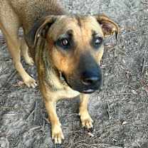 Thumbnail photo of Rudy #3