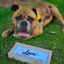 Thumbnail photo of Rolly Polly #1