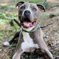 Thumbnail photo of Eugene #3