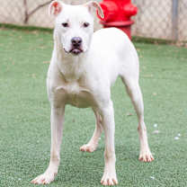 Thumbnail photo of Todd #3