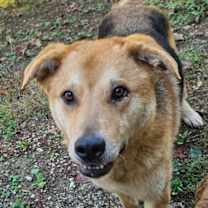 Thumbnail photo of Chip #1