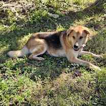 Thumbnail photo of Chip #2