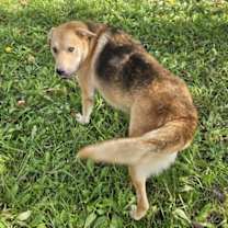 Thumbnail photo of Chip #3