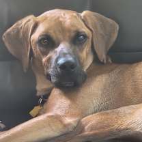 Thumbnail photo of Devin #3