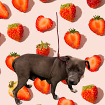 Thumbnail photo of Rose #3