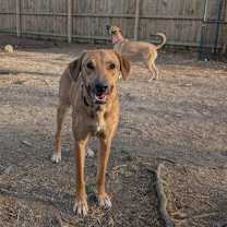 Thumbnail photo of Arya #1