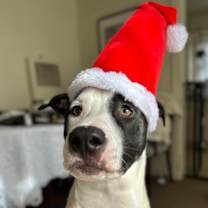 Thumbnail photo of Jack #1