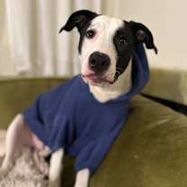 Thumbnail photo of Jack #4