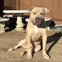 Thumbnail photo of Monte #3