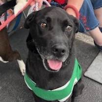 Thumbnail photo of Mitch #4