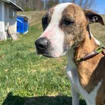 Thumbnail photo of Spot #1