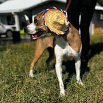 Thumbnail photo of Spot #3