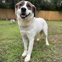 Thumbnail photo of Bonnie #1