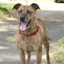 Thumbnail photo of Prince #1