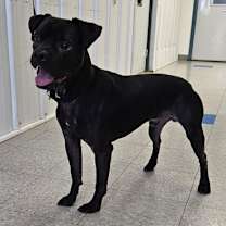 Thumbnail photo of Cletus #3