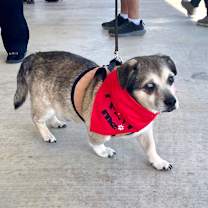 Thumbnail photo of Turkey #4