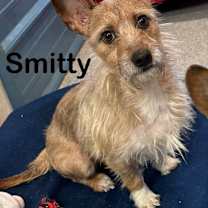 Thumbnail photo of Smitty #2