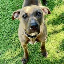 Thumbnail photo of Oakleigh #2