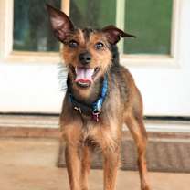 Thumbnail photo of Helly #3