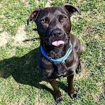 Thumbnail photo of Midnight #4