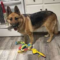 Thumbnail photo of Zz Lexie~ Courtesy #2