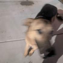 Thumbnail photo of Estrella and Luna #2