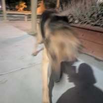 Thumbnail photo of Estrella and Luna #3