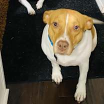 Thumbnail photo of SANDY #3