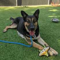 Thumbnail photo of Bebe SJ #1