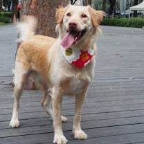 Thumbnail photo of Molly #2