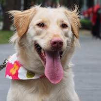 Thumbnail photo of Molly #3