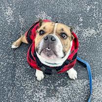 Thumbnail photo of Boudreaux #3