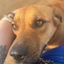 Thumbnail photo of Stevie #1