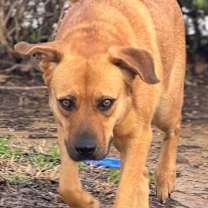 Thumbnail photo of Stevie #3