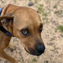 Thumbnail photo of Arianna #2