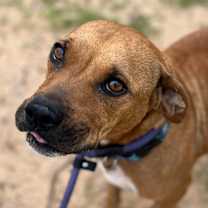 Thumbnail photo of Arianna #3