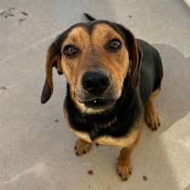 Thumbnail photo of Tex #2