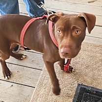 Thumbnail photo of Chaos JuM #2