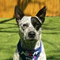 Thumbnail photo of Lester JuM #1