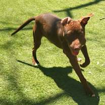 Thumbnail photo of Chaos JuM #3